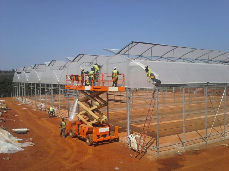 Greenhouse cladding installation