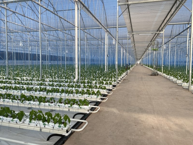 Greenhouse grow systems