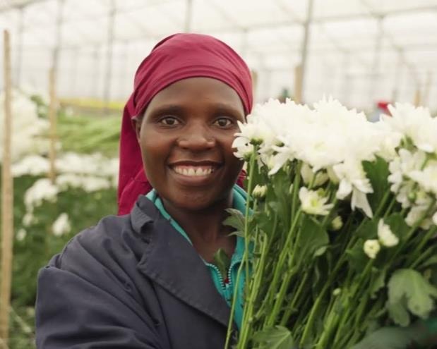 Greenhouse aerial view