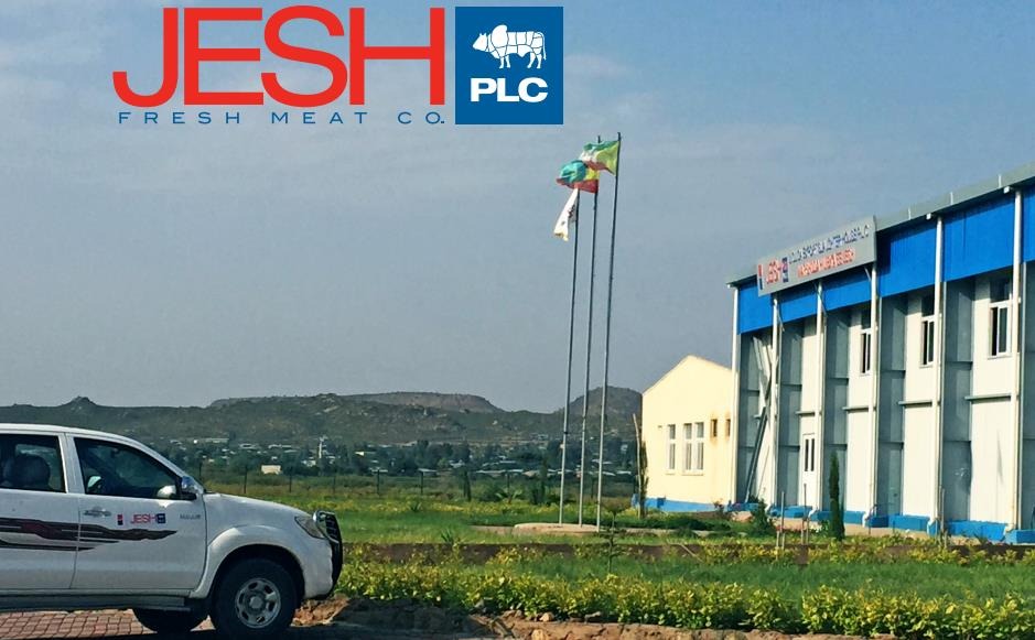 Jigjiga Export Slaughter House
